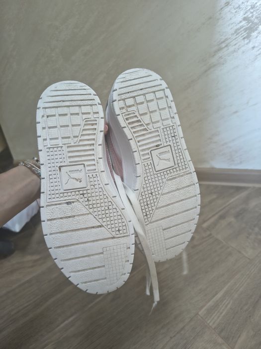 Кецове Пума/Puma