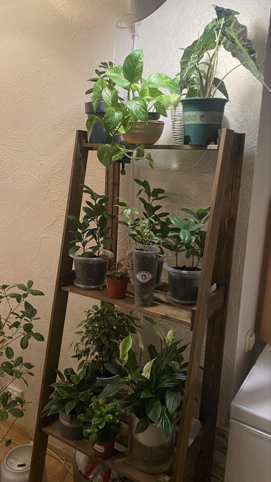 Стрллаж деревянный, подставка напольная, этажерка