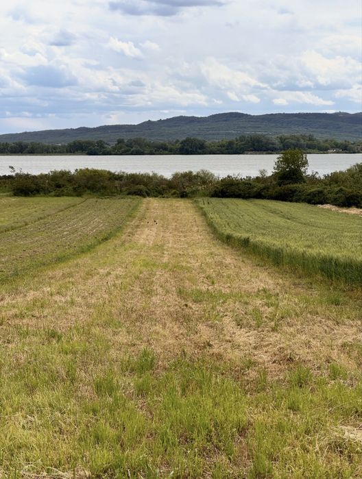 Teren de vanzare in Caras-Severin, Clisura Dunarii, iesire la Dunare.