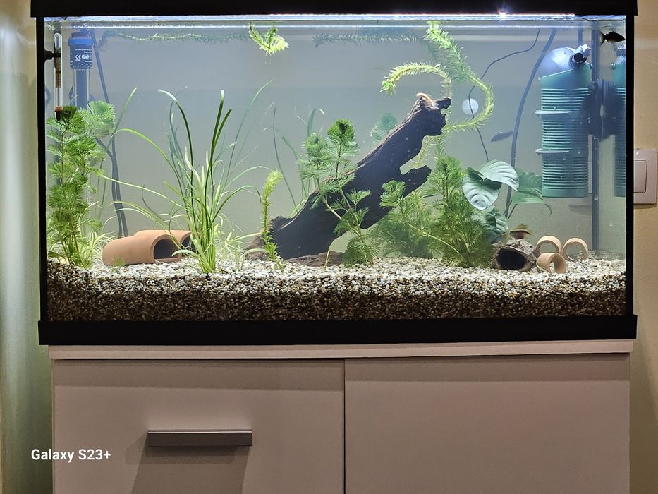 Acvariu de vanzare 450litri, 160litri,110litri cu