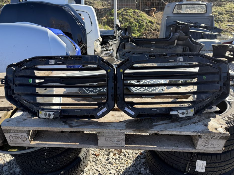 Решетка Бъбреци BMW XM