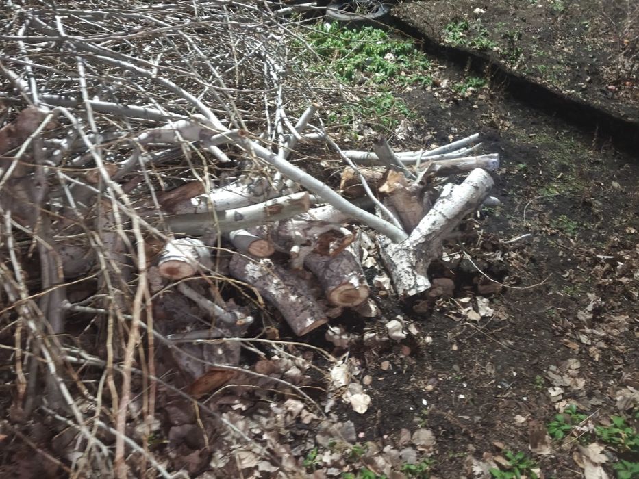 Отдам даром дрова