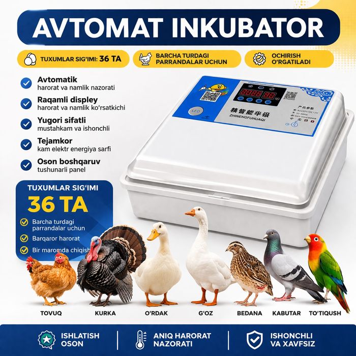 Inkubator Avtomat Sotiladi 36 talik Yangi