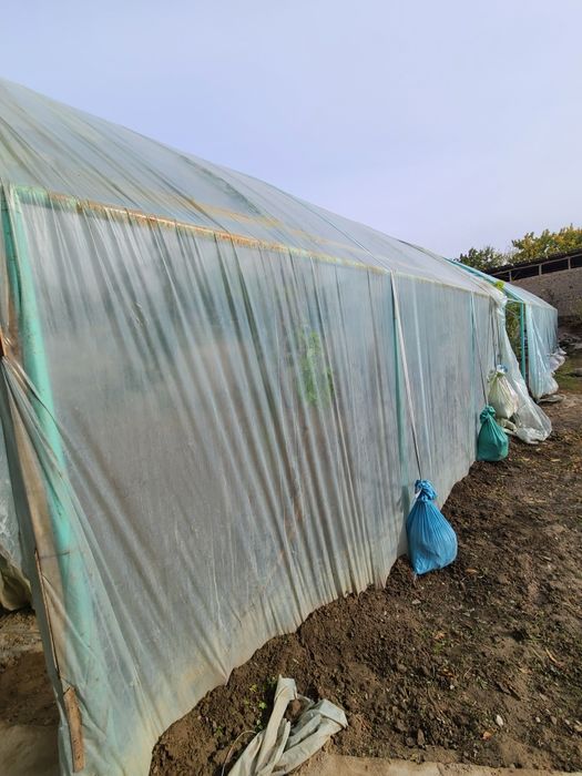 Типлитса 2.35 сотих