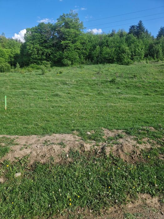 Teren intravilan Cristian – Brașov | Zonă liniștită, pădure