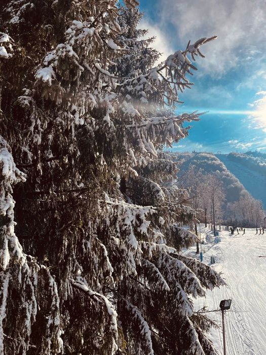 Vând skiuri/schiuri și snowboard