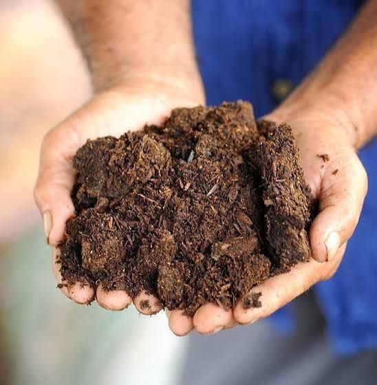 Конский навоз (жылқы көңі)