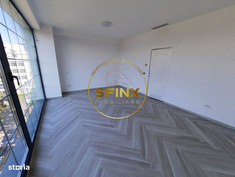 Iancu Nicolae, bloc boutique, 161mp, living 74mp, 3 bai, 2 garaje