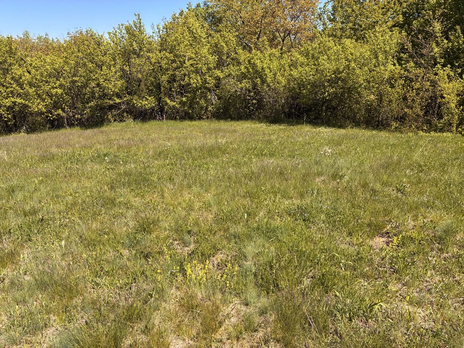 Vând Teren in Cherghes, Cârjiți, la 12 minute de orașul Deva cu o panoramă superbă in inima naturii