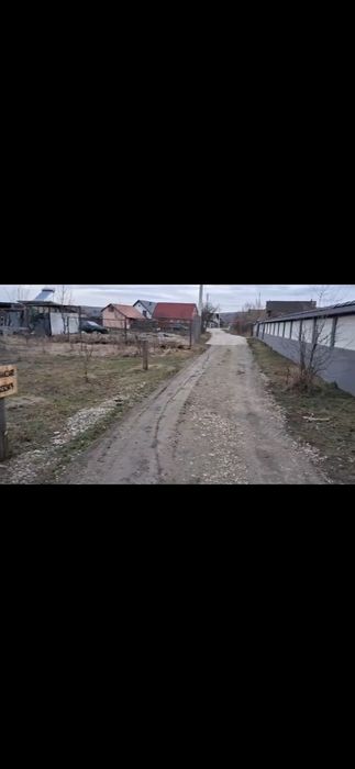 Teren de Vânzare