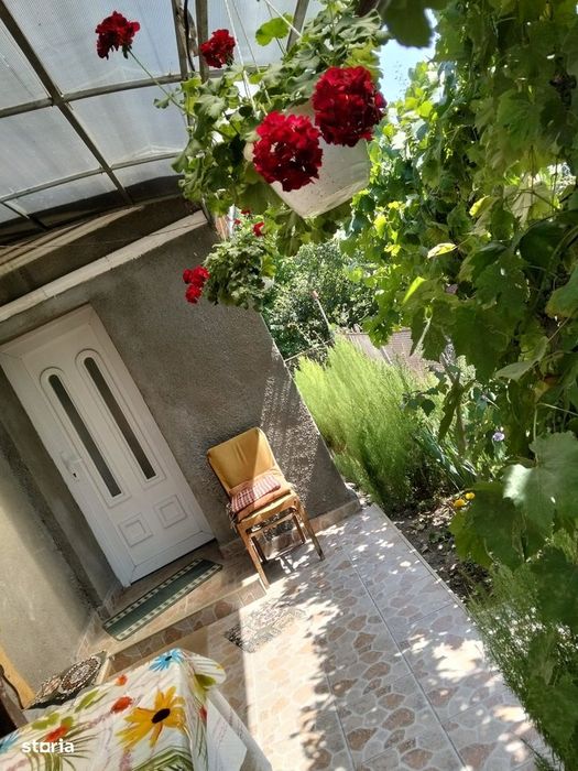 Casa 60 mp utili, teren 1.400 mp | Borsa (Rascruci), Cluj