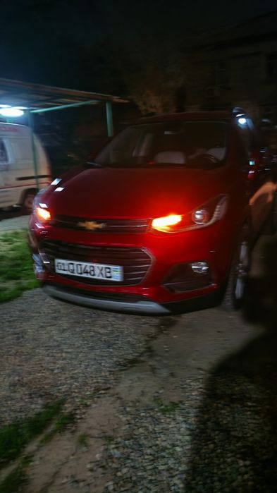 Trekir 1  top toza