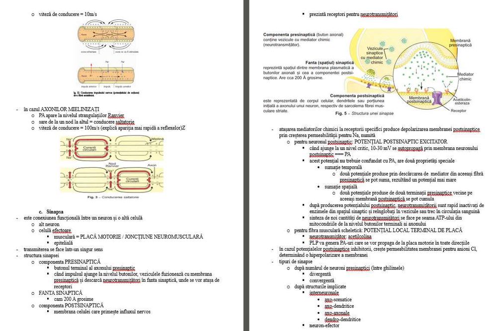 (10GB) Materiale admitere medicină 2025