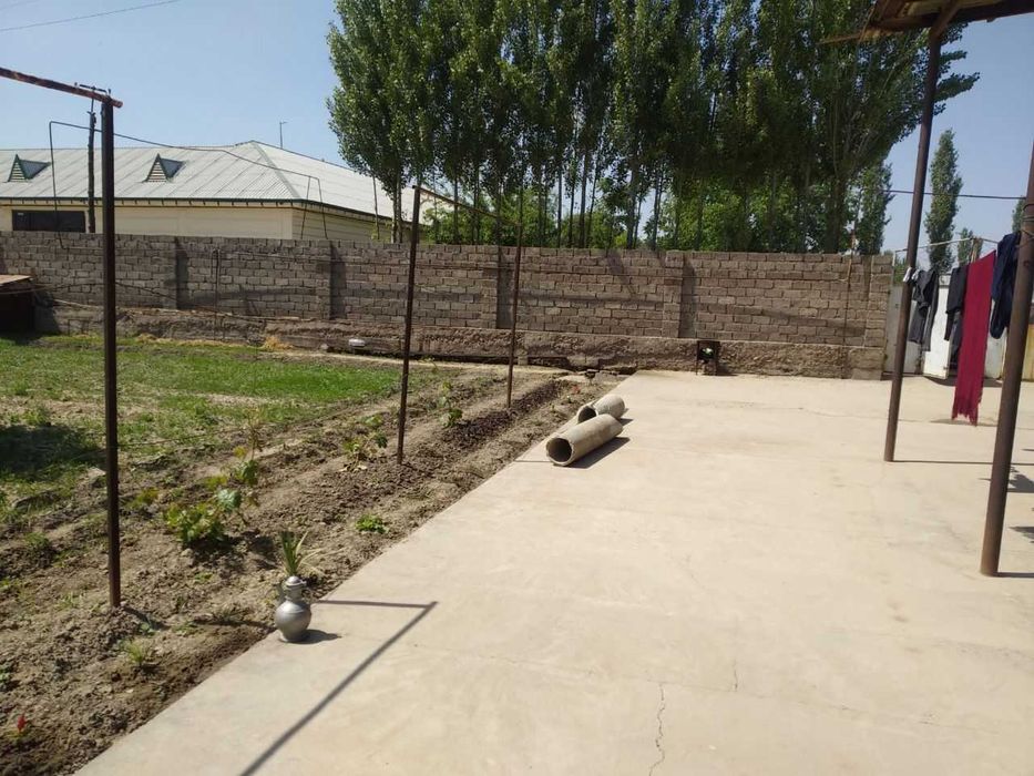 16 сотикли ховли сотилади ва таёр бизнес (мол фермаси) сотилади