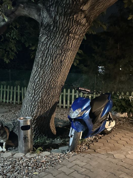 Продам скутер Yamaha RR