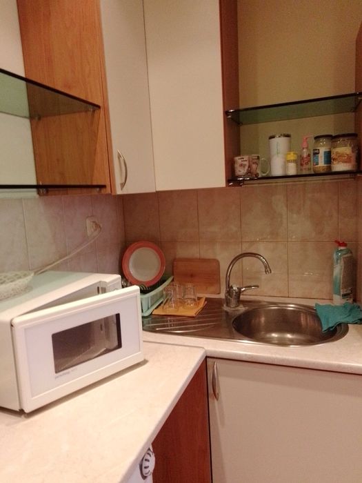 Дава се под наем Едностаен апартамент в Плевен, Дружба 1 - 45 кв.м за 255 € - Снимка #1