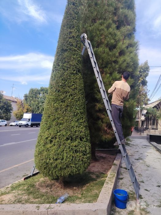 Обрезка деревев.