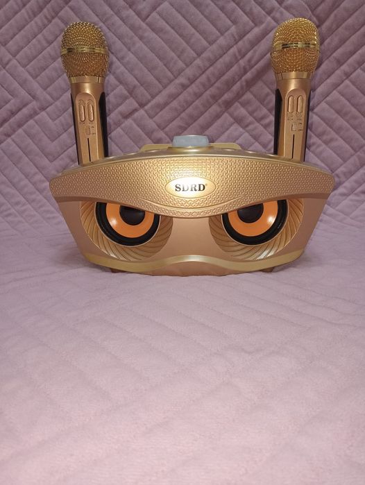 Портавиыная уолонка и два микрофона