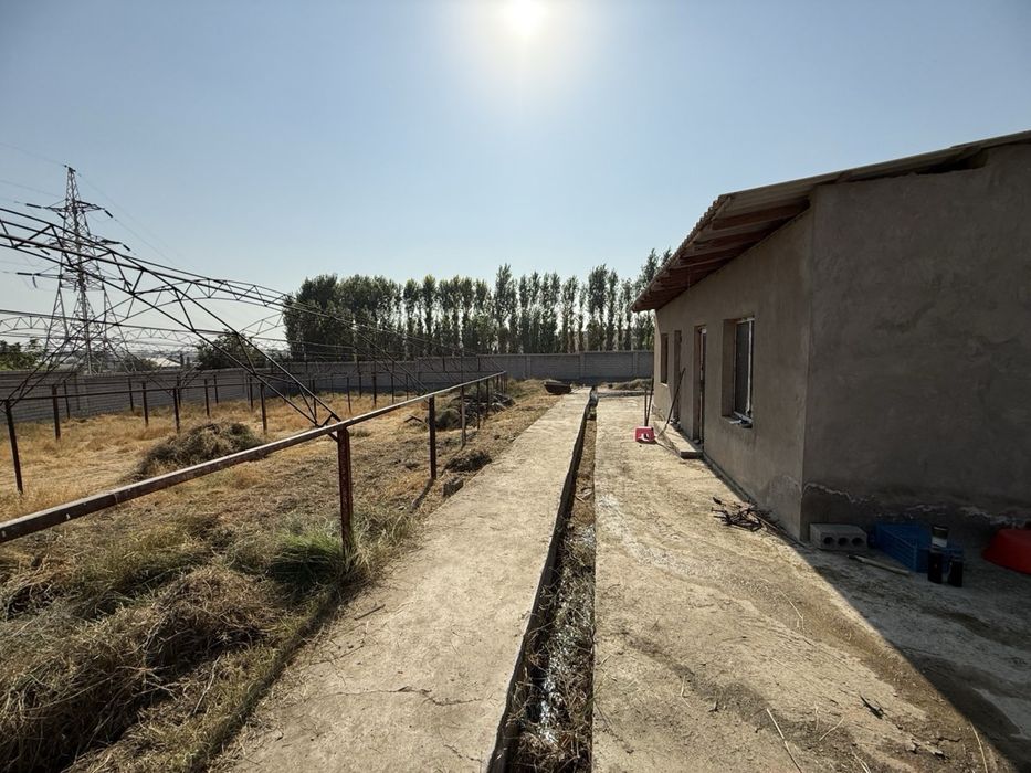 Uchastka sotiladi !!! Уй сотилади !!! 16 сотих !!! Янгийул шахар!!!