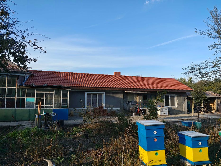 Пчелни кошери със семейството