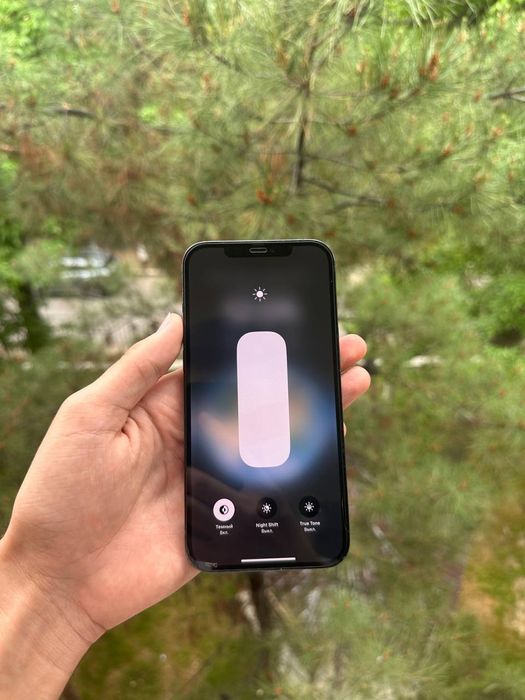 iPhone 12 Pro Max 256GB LLA