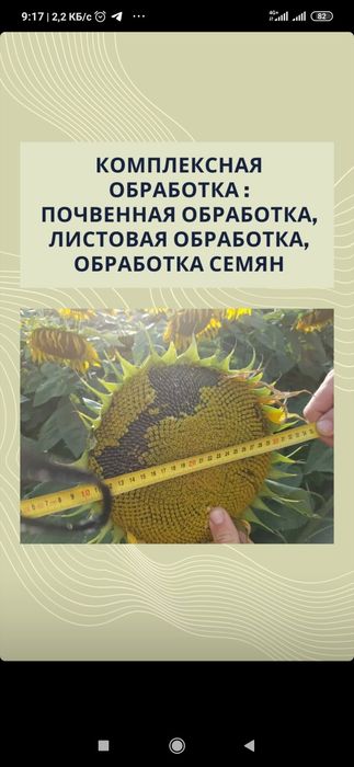 Удобрения для растений Агрофлорин