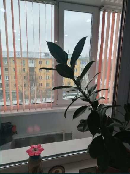 2-комнатная, центр, с ремонтом