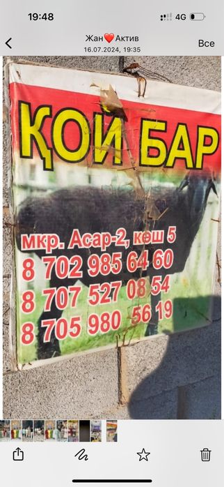 Қойлар , қойлар сатылады