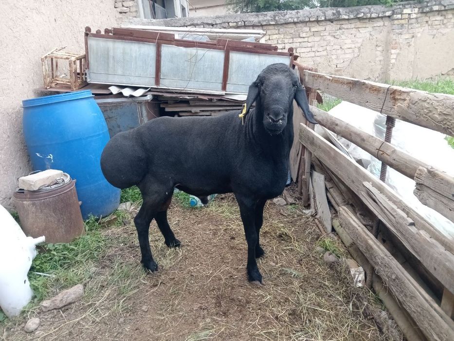 Sifatli va ishonchli xizmat