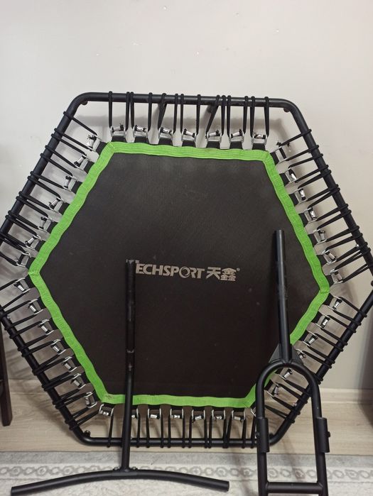 Спортивный батут