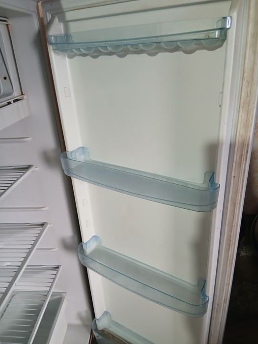 Kattagina Bryusi muzlatgich