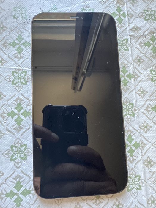 Iphone 12 pro max recarosare