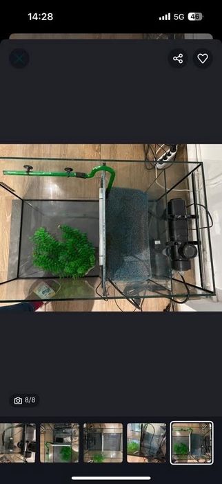 Acvarii speciale pentru terapia garra rufa