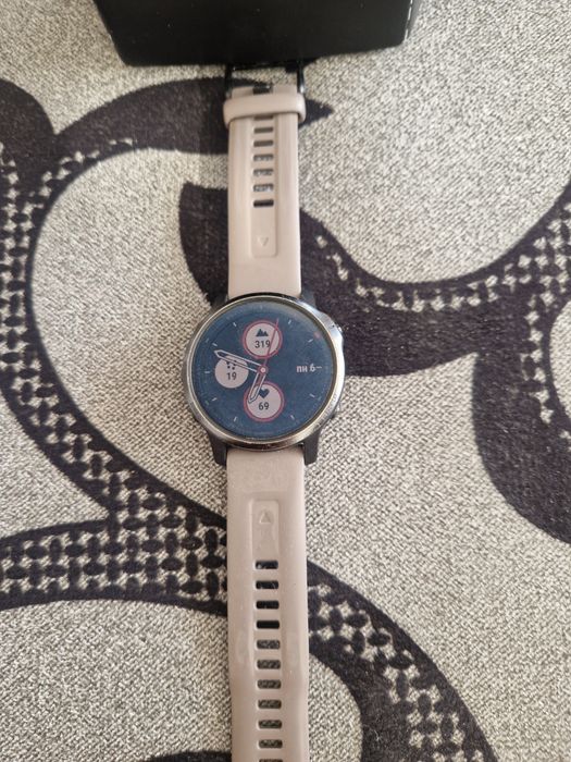 Garmin  fenix  6s