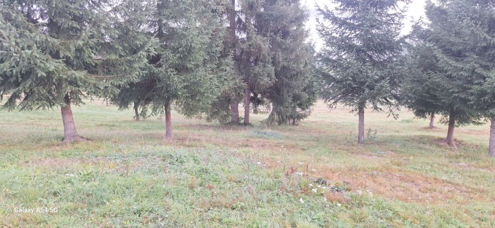 Teren intravilan 5.500 mp – parcelabil în 2 loturi, utilități, acces,