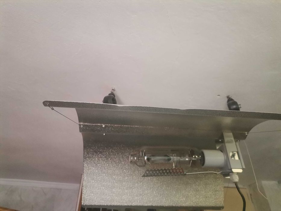 Лампа за растения, разсад