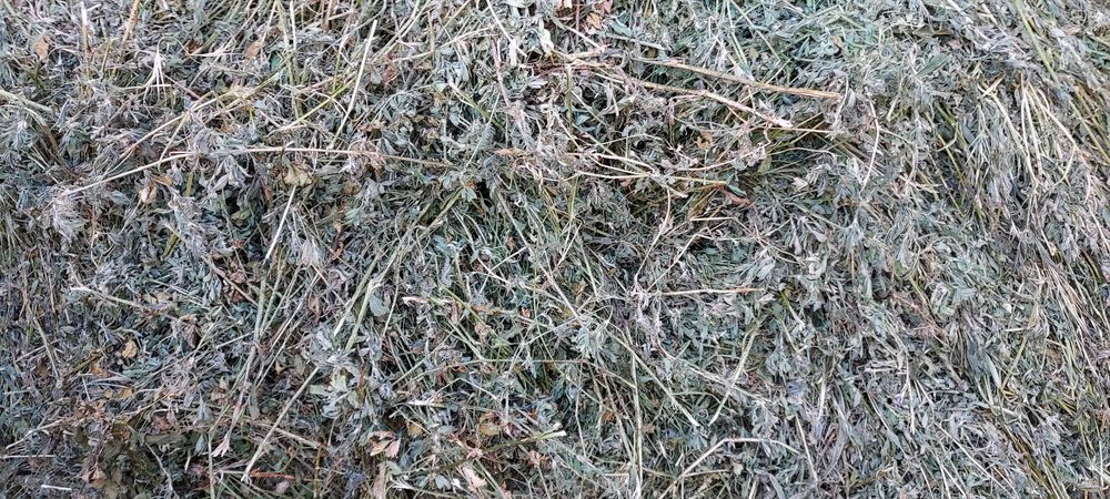 Baloți de lucernă,fân dreptunghiular,rotund! Se asigura transport!