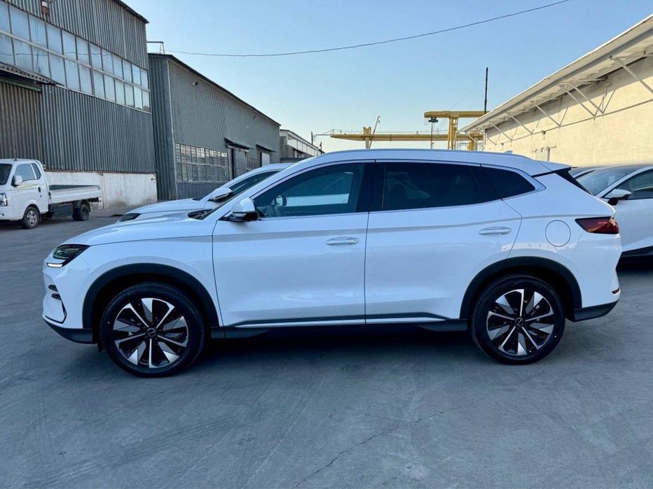 BYD Champion smart 2025