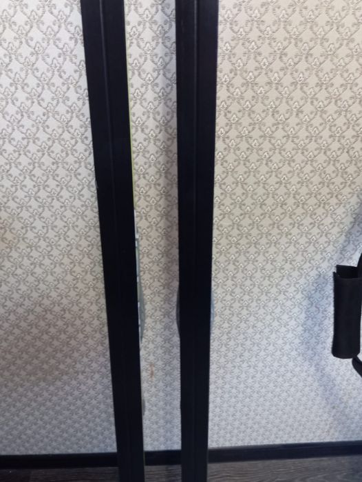 Беговые лыжи Фишер