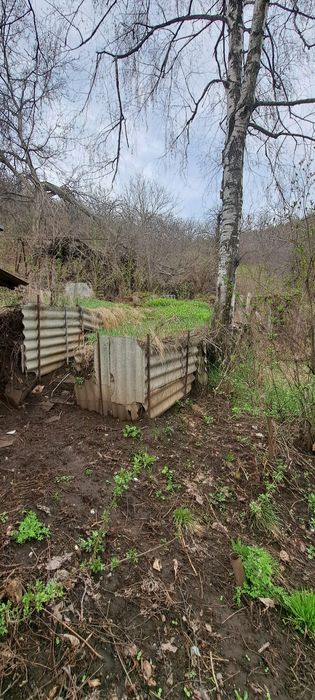 Участок шокая 8 соток