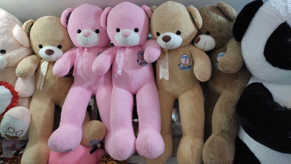 Teddy va boshqa yumshoq oʻyinchoqlar arginal