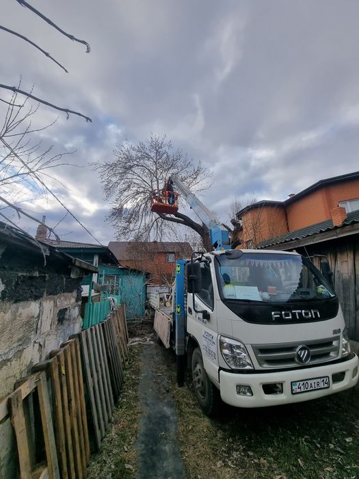 Услуги манипулятора и автовышки.