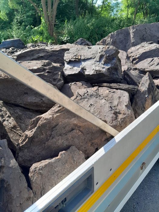 Carbuni Lignit     .