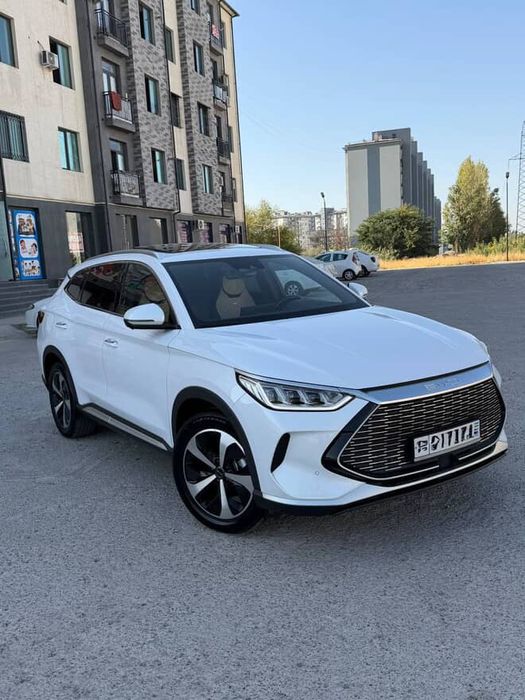 Byd song plus GIBRID 2023 yil oq toza