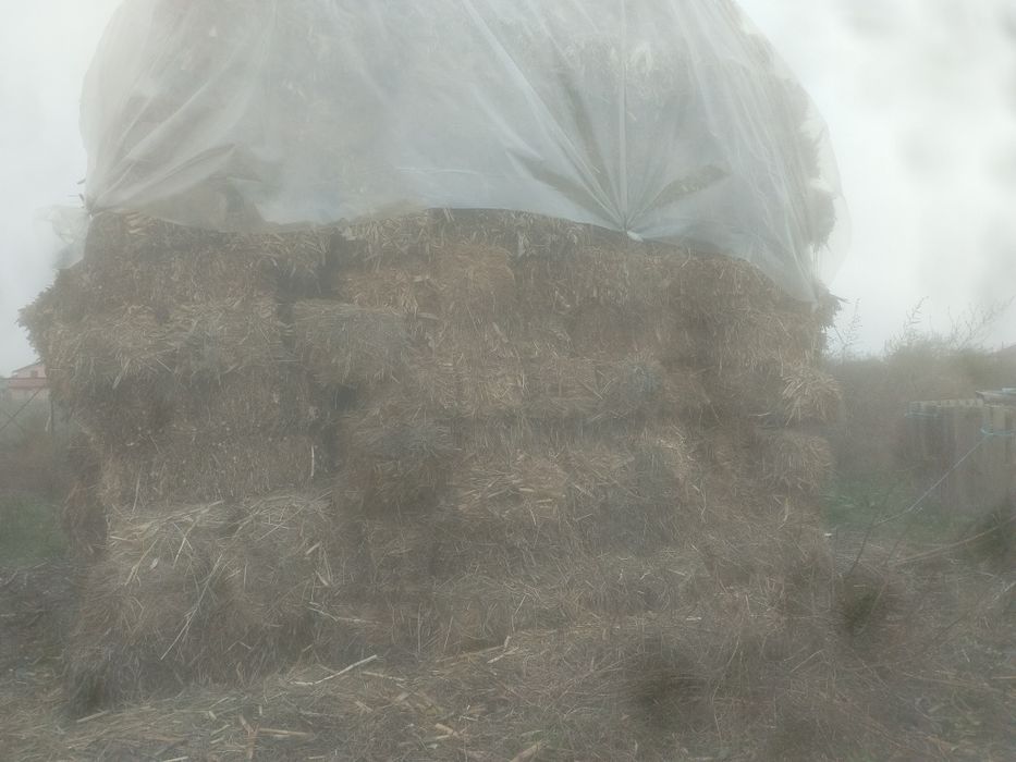 Baloti de ciocani si paie