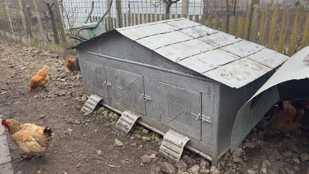 Coteț solid pentru găini / rațe / gâște – ideal pentru clocit și protecție maximă