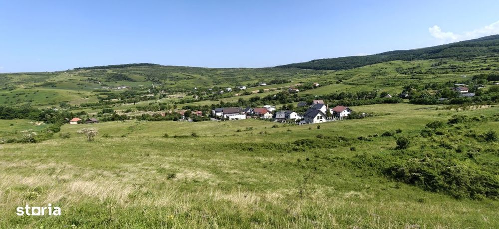 Teren intravilan Borhanci