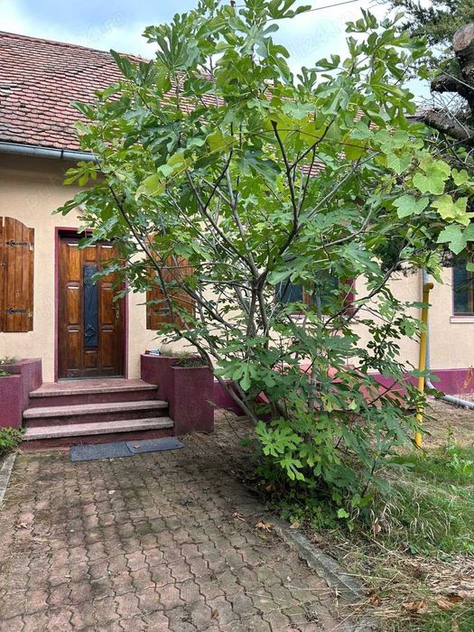 Proprietar - Casa de vanzare in Campina langa Scoala de Politie