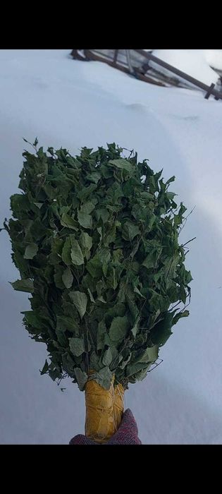 Веники березовые