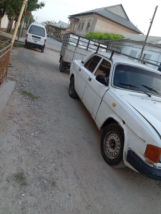 Volga prsebi bilan sotiladi